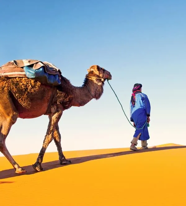 Desert Tours Guide To Deserts in Morocco - Circuit désert Maroc Les Amis du Sahara