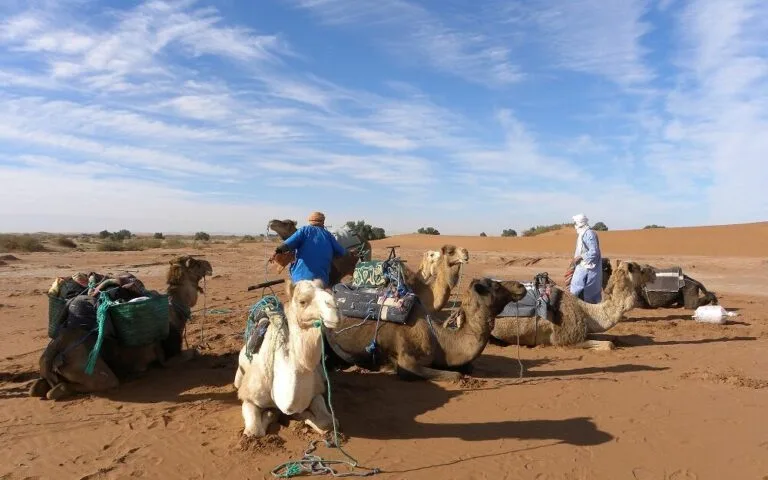 Maroc2010 3471 1 edited 768x480 - Circuit désert Maroc Les Amis du Sahara