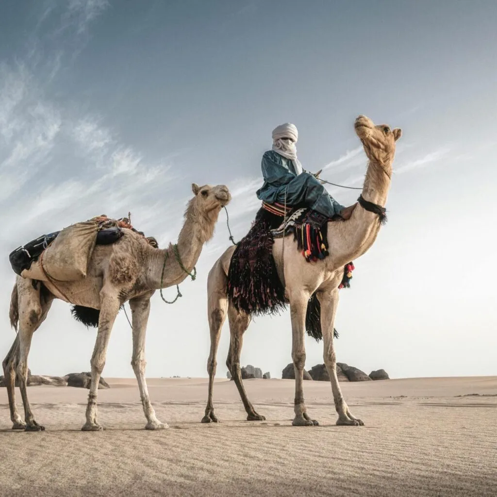 Merzouga camel ride scaled - Circuit désert Maroc Les Amis du Sahara