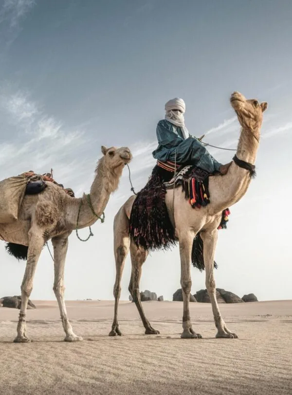 Merzouga camel ride scaled - Circuit désert Maroc Les Amis du Sahara