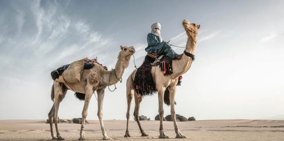 Merzouga camel ride scaled - Circuit désert Maroc Les Amis du Sahara