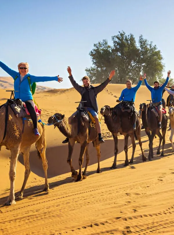 Camel ride 5 - Circuit désert Maroc Les Amis du Sahara
