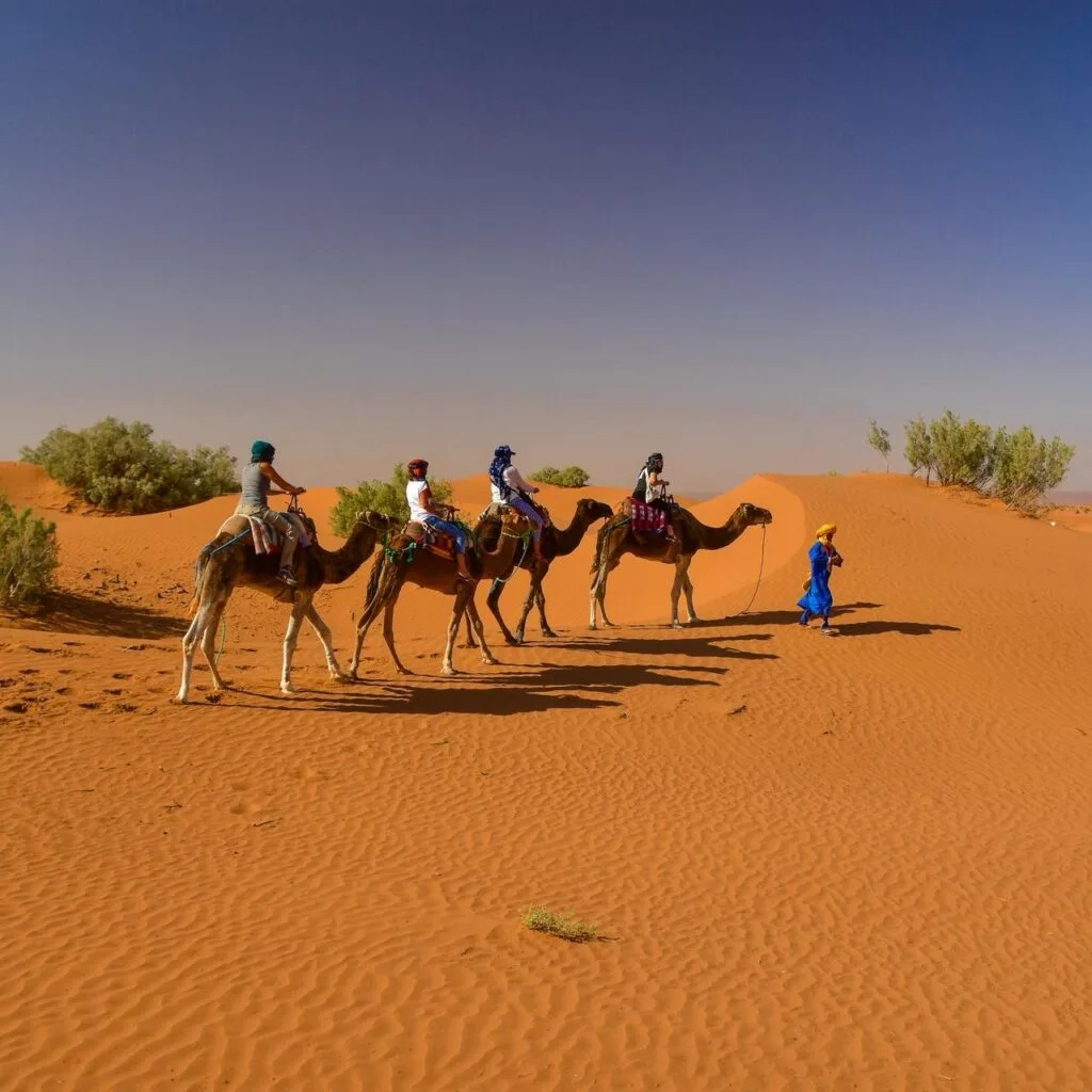 Zagora maroc.jpg - Circuit désert Maroc Les Amis du Sahara