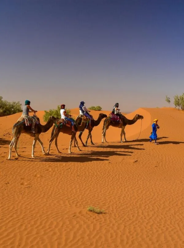 Zagora maroc.jpg - Circuit désert Maroc Les Amis du Sahara