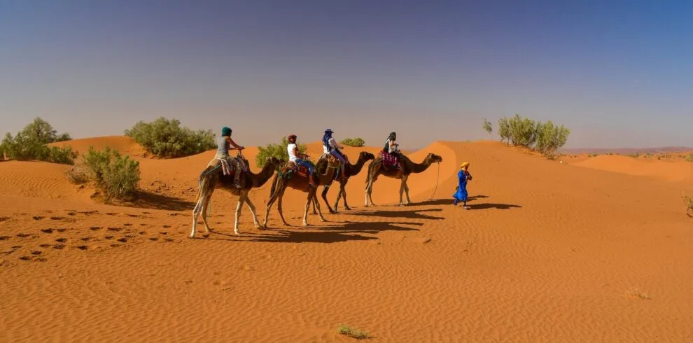 Zagora maroc.jpg - Circuit désert Maroc Les Amis du Sahara